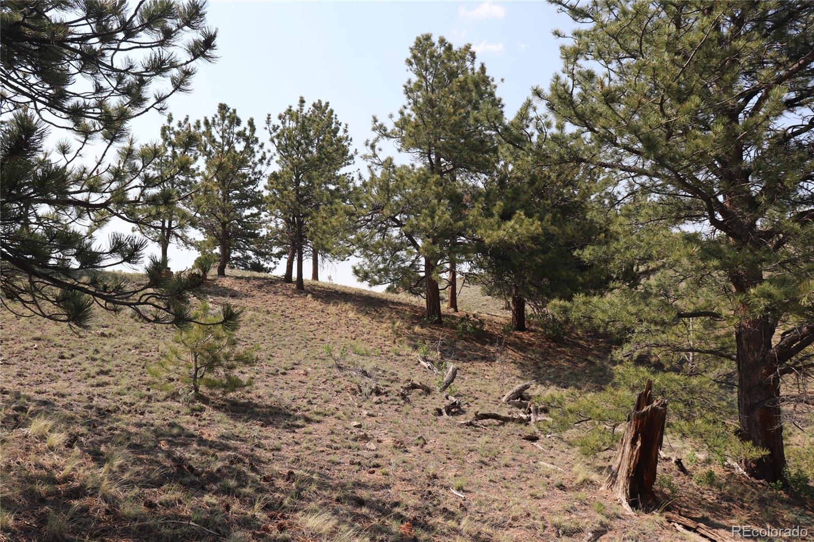 687 Corral Road Hartsel CO 80449