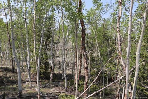 687 Corral Road Hartsel CO 80449
