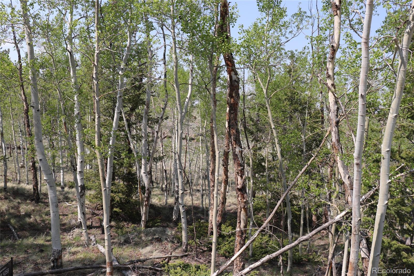 687 Corral Road Hartsel CO 80449