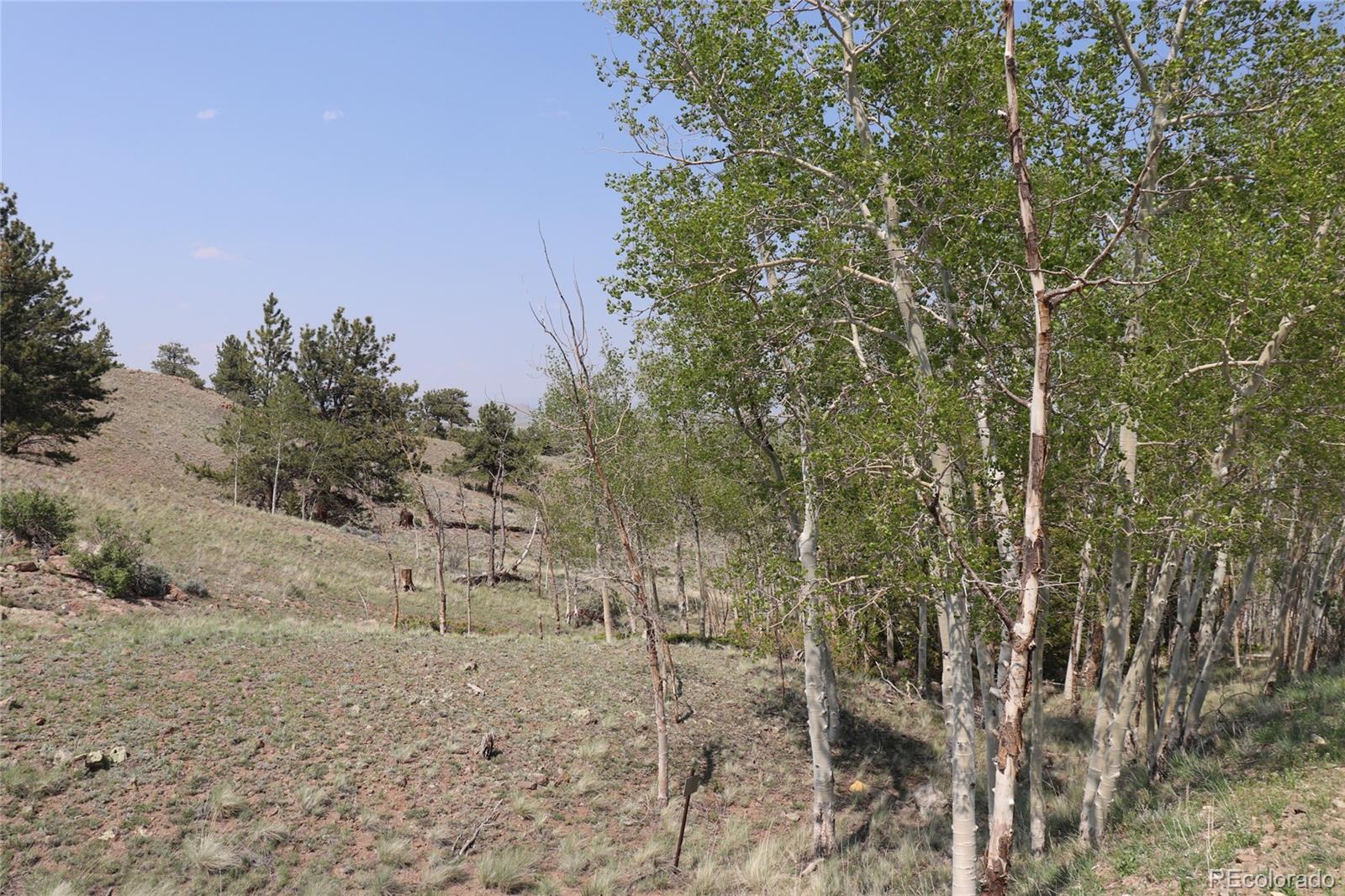 687 Corral Road Hartsel CO 80449