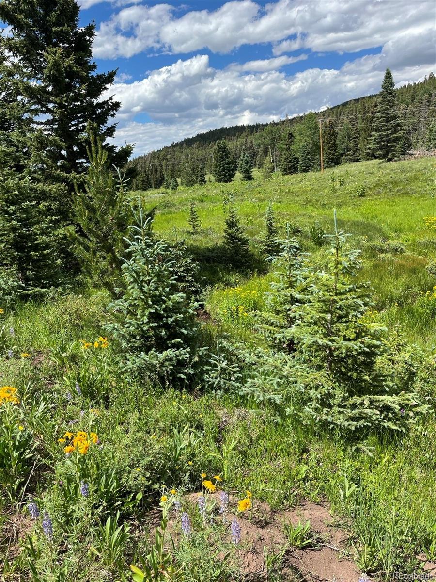 Lot 3091 Sterenson Place Fort Garland CO 81133