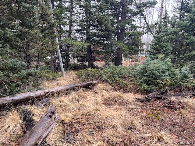 Lot 3091 Sterenson Place Fort Garland CO 81133