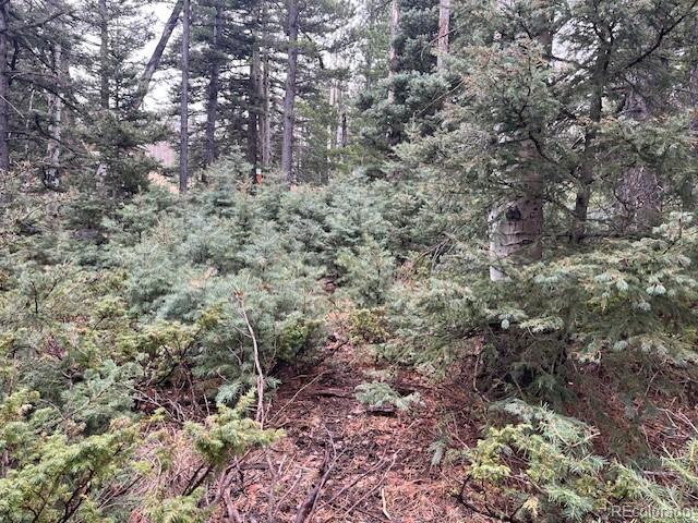 Lot 3091 Sterenson Place Fort Garland CO 81133