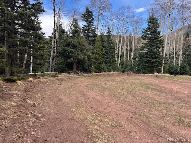 Lot 3091 Sterenson Place Fort Garland CO 81133