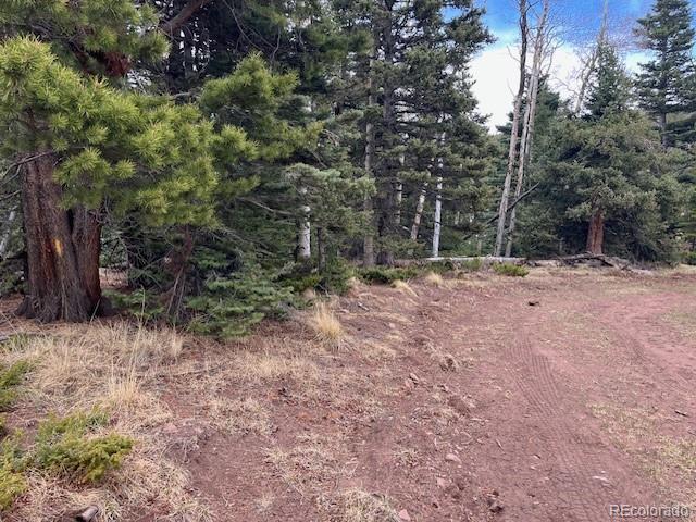 Lot 3091 Sterenson Place Fort Garland CO 81133