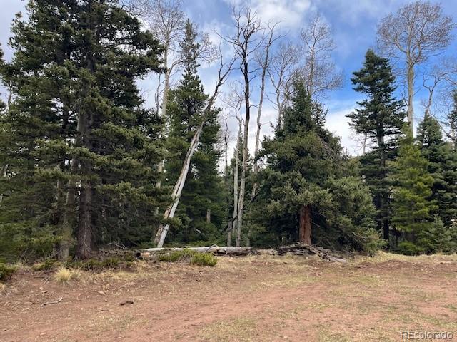 Lot 3091 Sterenson Place Fort Garland CO 81133