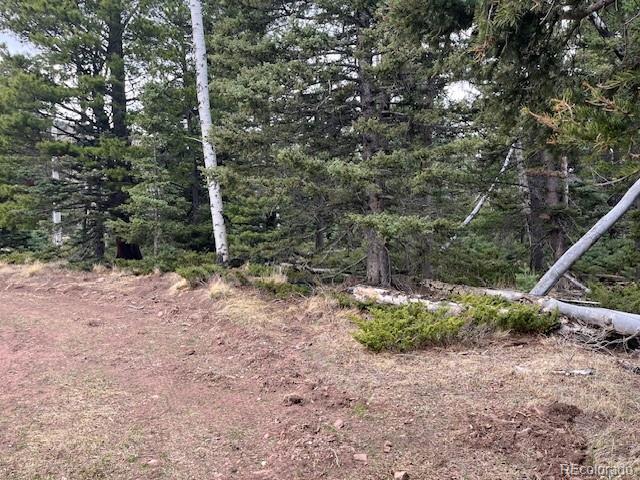 Lot 3091 Sterenson Place Fort Garland CO 81133