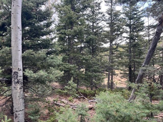 Lot 3091 Sterenson Place Fort Garland CO 81133