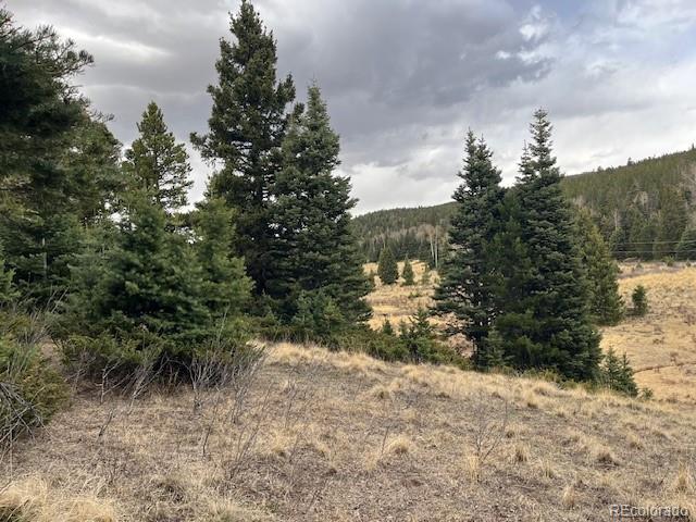 Lot 3091 Sterenson Place Fort Garland CO 81133
