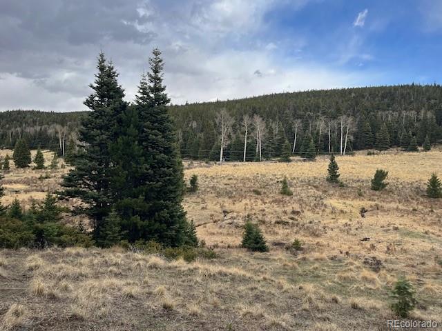 Lot 3091 Sterenson Place Fort Garland CO 81133