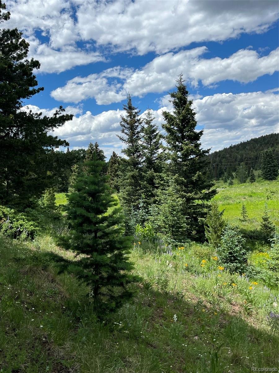 Lot 3091 Sterenson Place Fort Garland CO 81133