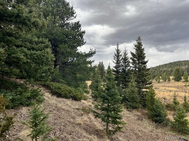 Lot 3091 Sterenson Place Fort Garland CO 81133