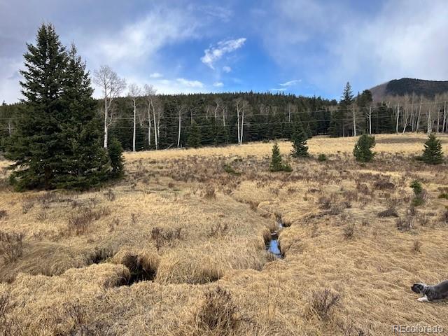 Lot 3091 Sterenson Place Fort Garland CO 81133