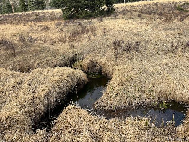 Lot 3091 Sterenson Place Fort Garland CO 81133