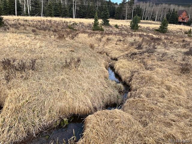Lot 3091 Sterenson Place Fort Garland CO 81133