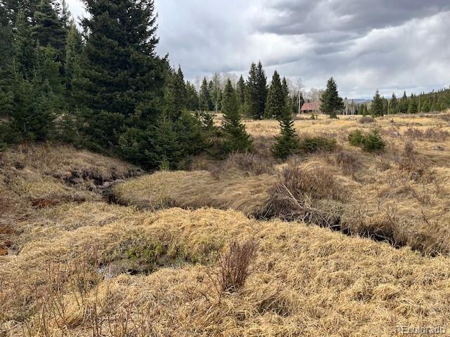 Lot 3091 Sterenson Place Fort Garland CO 81133