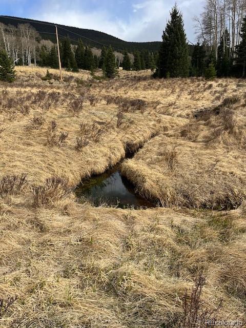 Lot 3091 Sterenson Place Fort Garland CO 81133