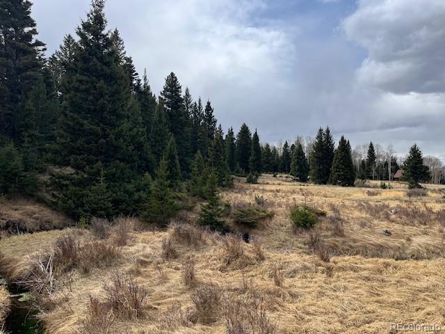Lot 3091 Sterenson Place Fort Garland CO 81133