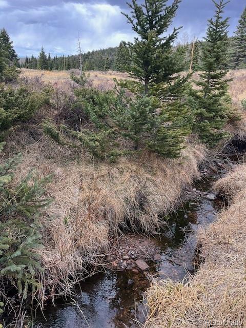 Lot 3091 Sterenson Place Fort Garland CO 81133