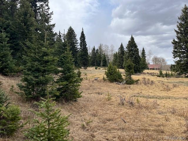 Lot 3091 Sterenson Place Fort Garland CO 81133