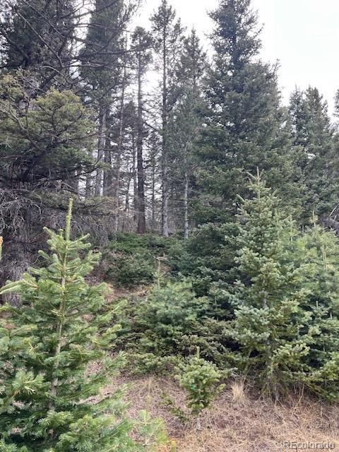 Lot 3091 Sterenson Place Fort Garland CO 81133