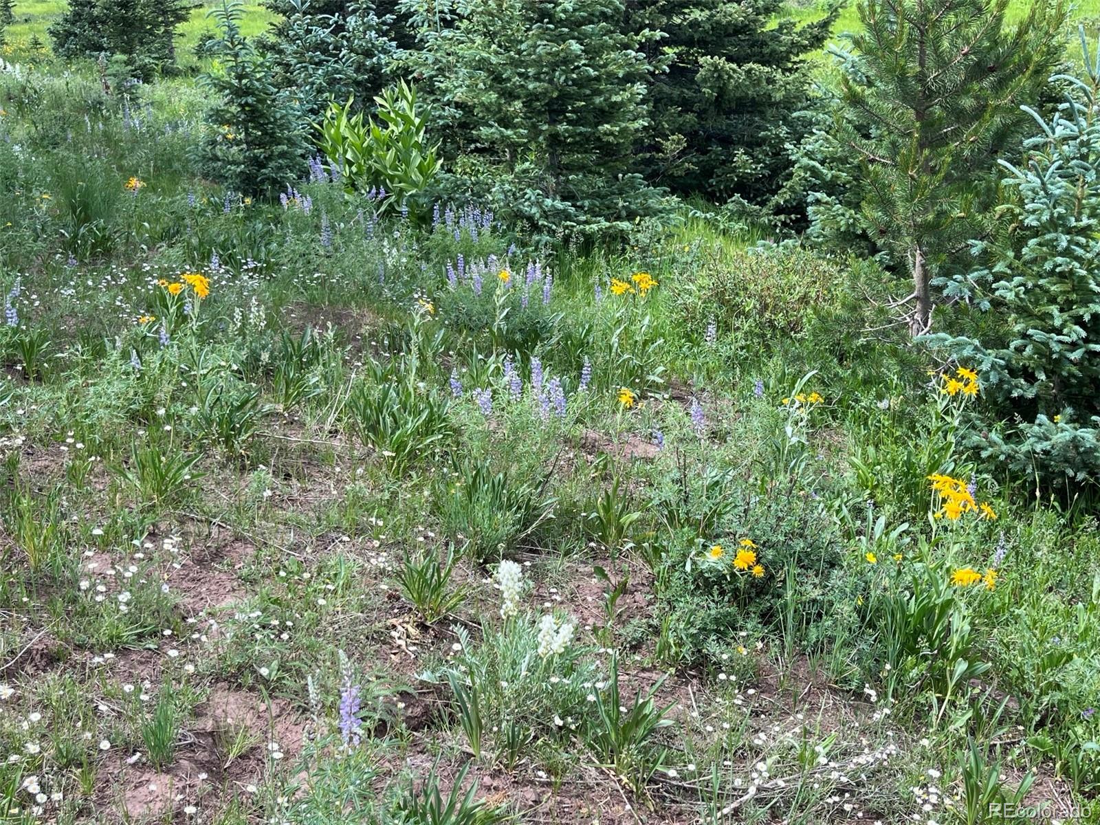 Lot 3091 Sterenson Place Fort Garland CO 81133