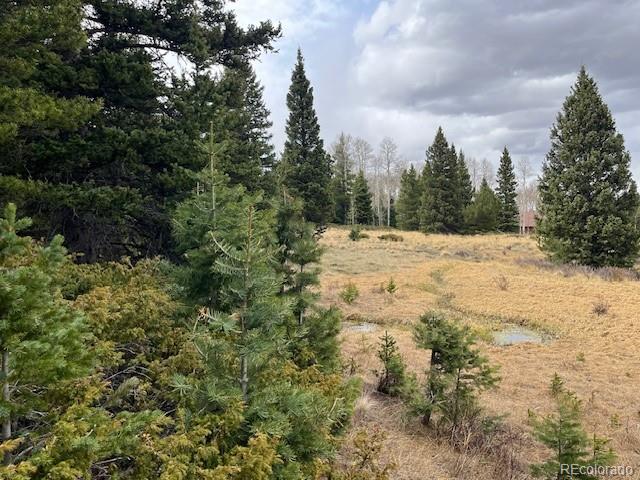 Lot 3091 Sterenson Place Fort Garland CO 81133