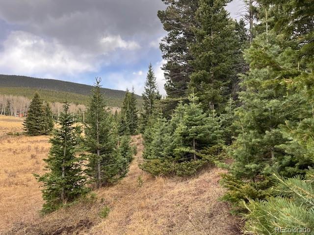 Lot 3091 Sterenson Place Fort Garland CO 81133