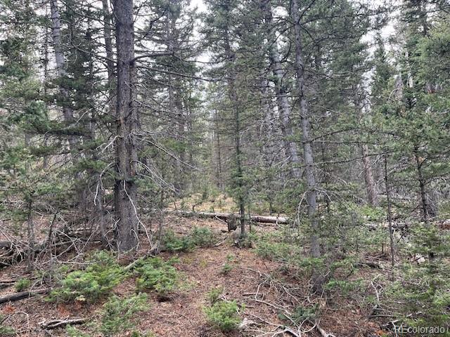 Lot 3091 Sterenson Place Fort Garland CO 81133