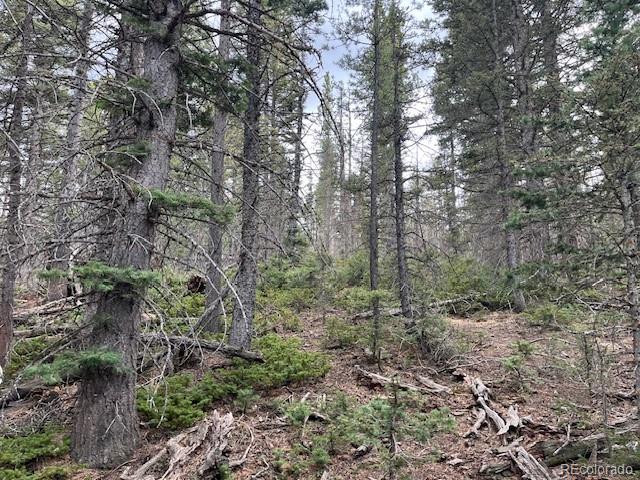 Lot 3091 Sterenson Place Fort Garland CO 81133