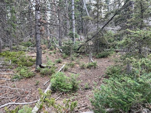 Lot 3091 Sterenson Place Fort Garland CO 81133