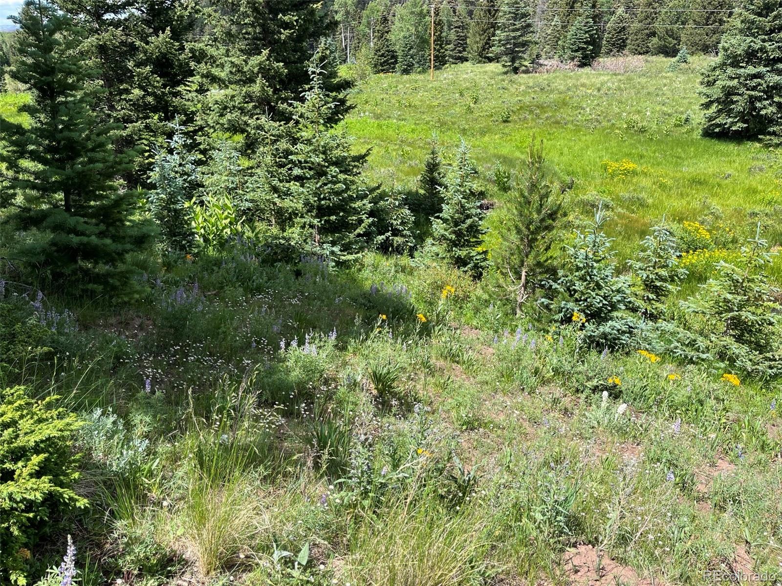 Lot 3091 Sterenson Place Fort Garland CO 81133