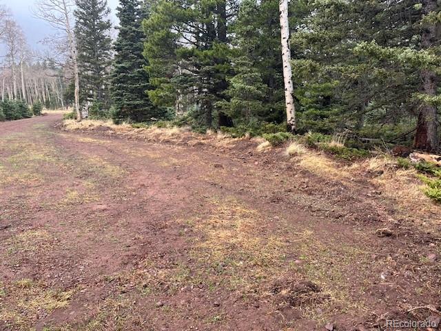 Lot 3091 Sterenson Place Fort Garland CO 81133