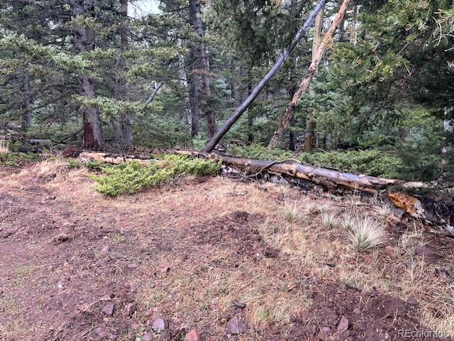 Lot 3091 Sterenson Place Fort Garland CO 81133