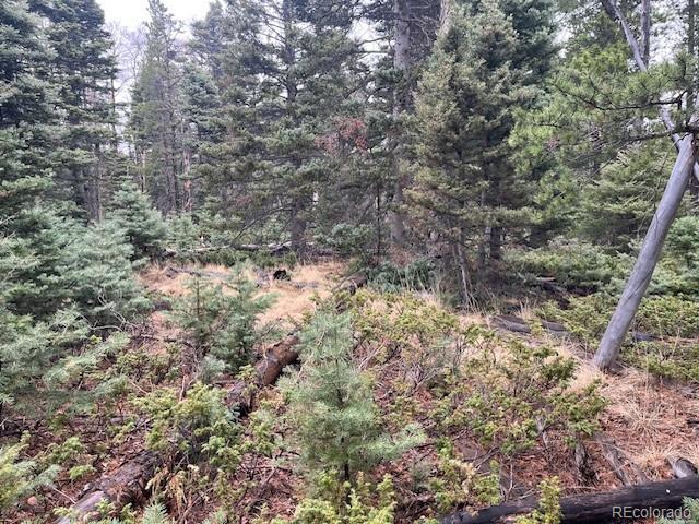 Lot 3091 Sterenson Place Fort Garland CO 81133