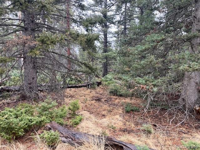 Lot 3091 Sterenson Place Fort Garland CO 81133