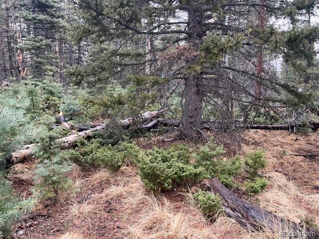 Lot 3091 Sterenson Place Fort Garland CO 81133