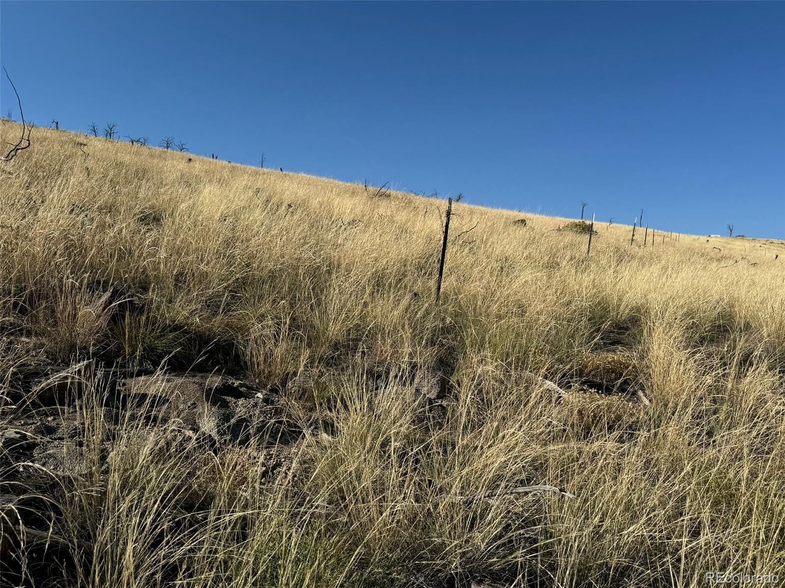 Lot 48,49 Copper Gultch Cotopaxi CO 81223