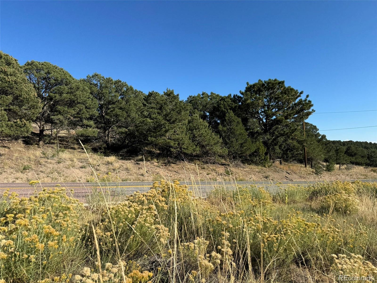 Lot 48,49 Copper Gultch Cotopaxi CO 81223