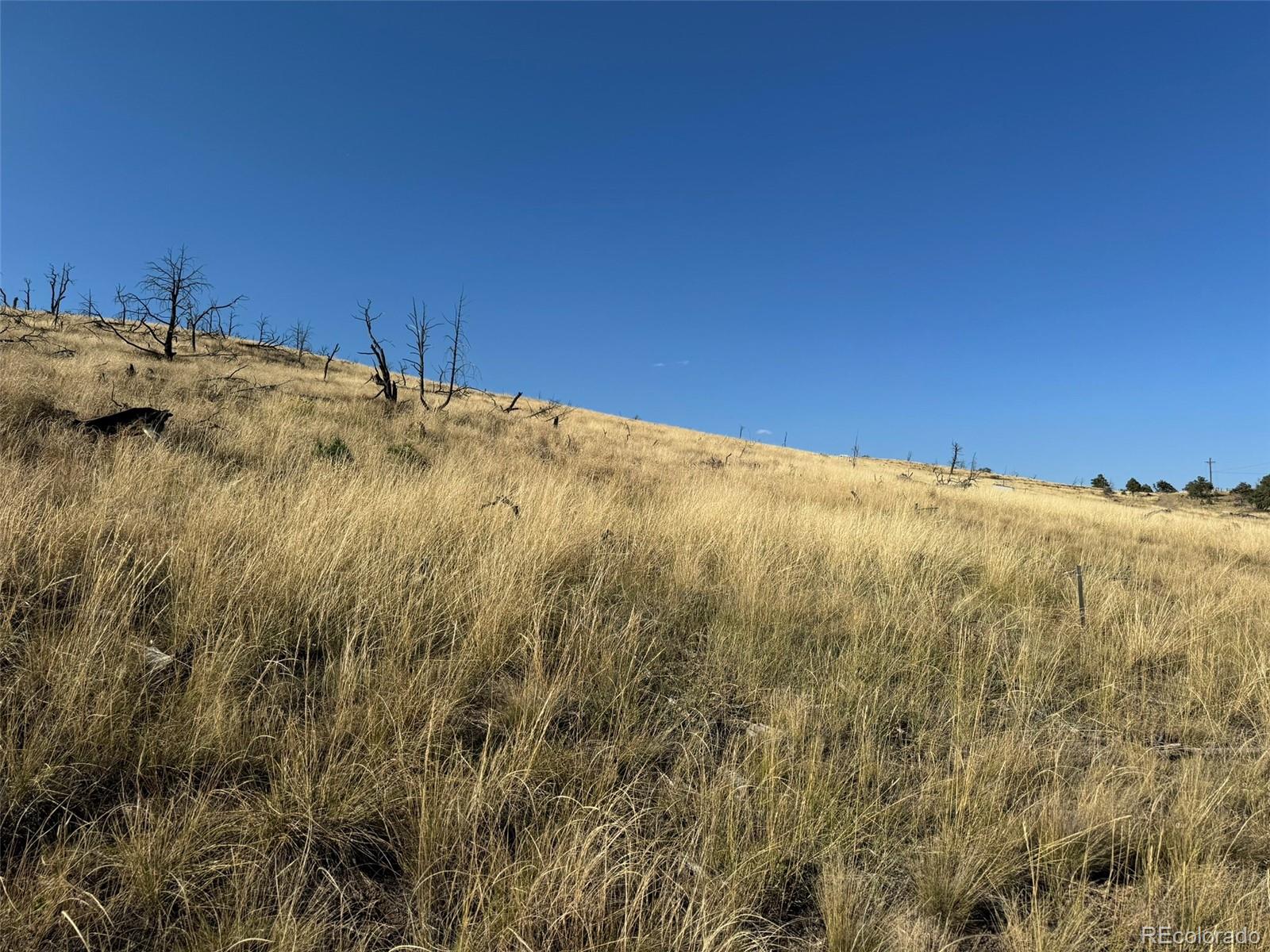 Lot 48,49 Copper Gultch Cotopaxi CO 81223
