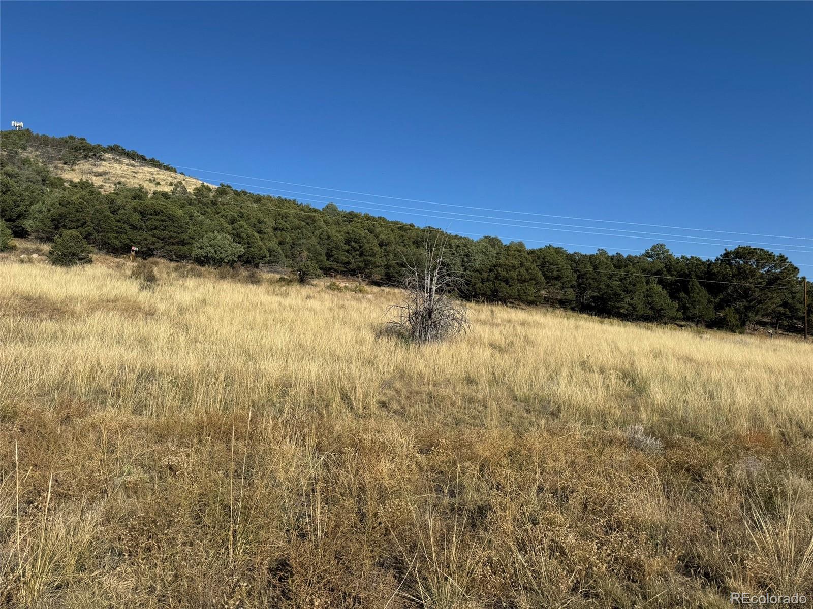 Lot 48,49 Copper Gultch Cotopaxi CO 81223