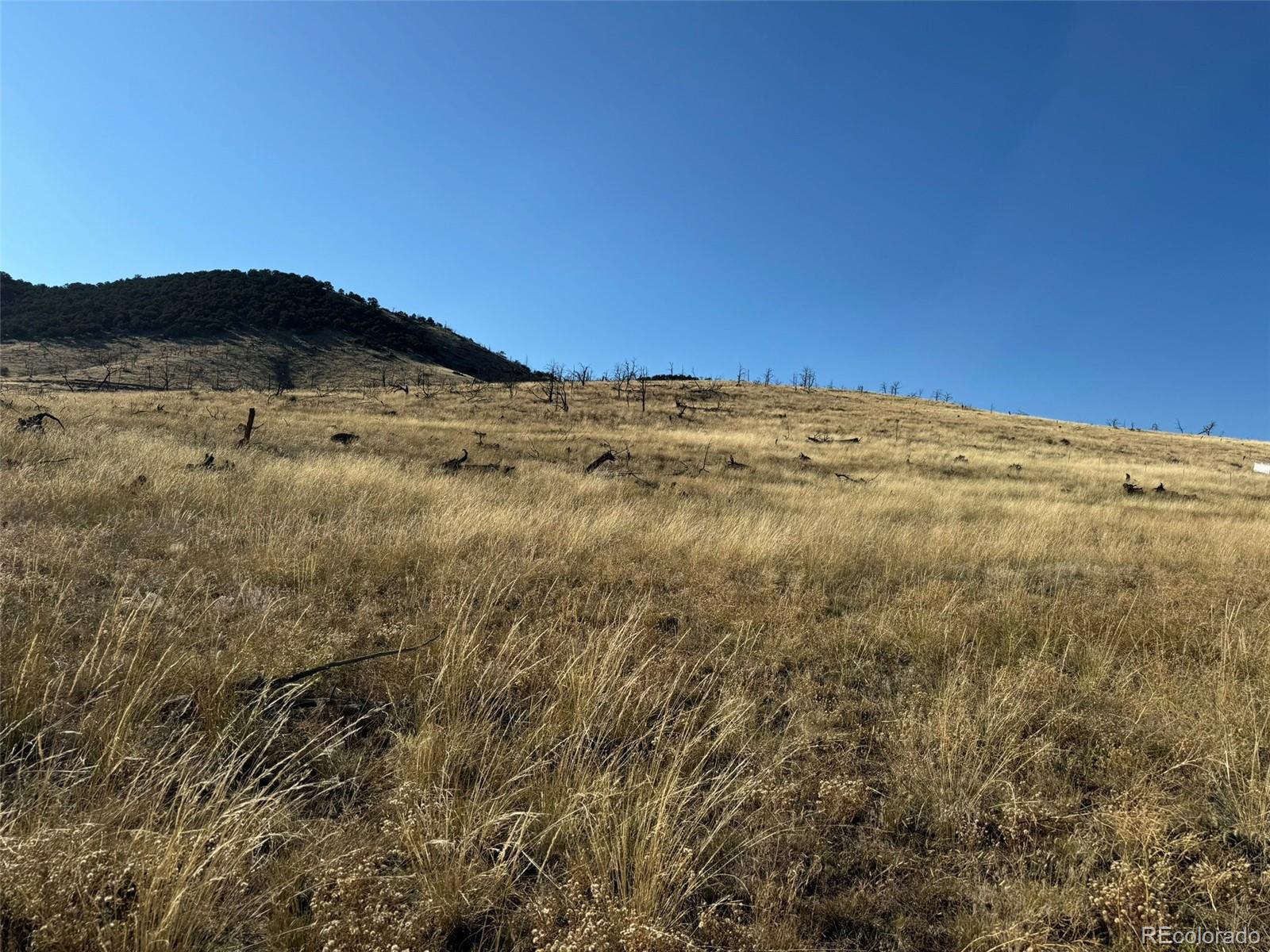 Lot 48,49 Copper Gultch Cotopaxi CO 81223