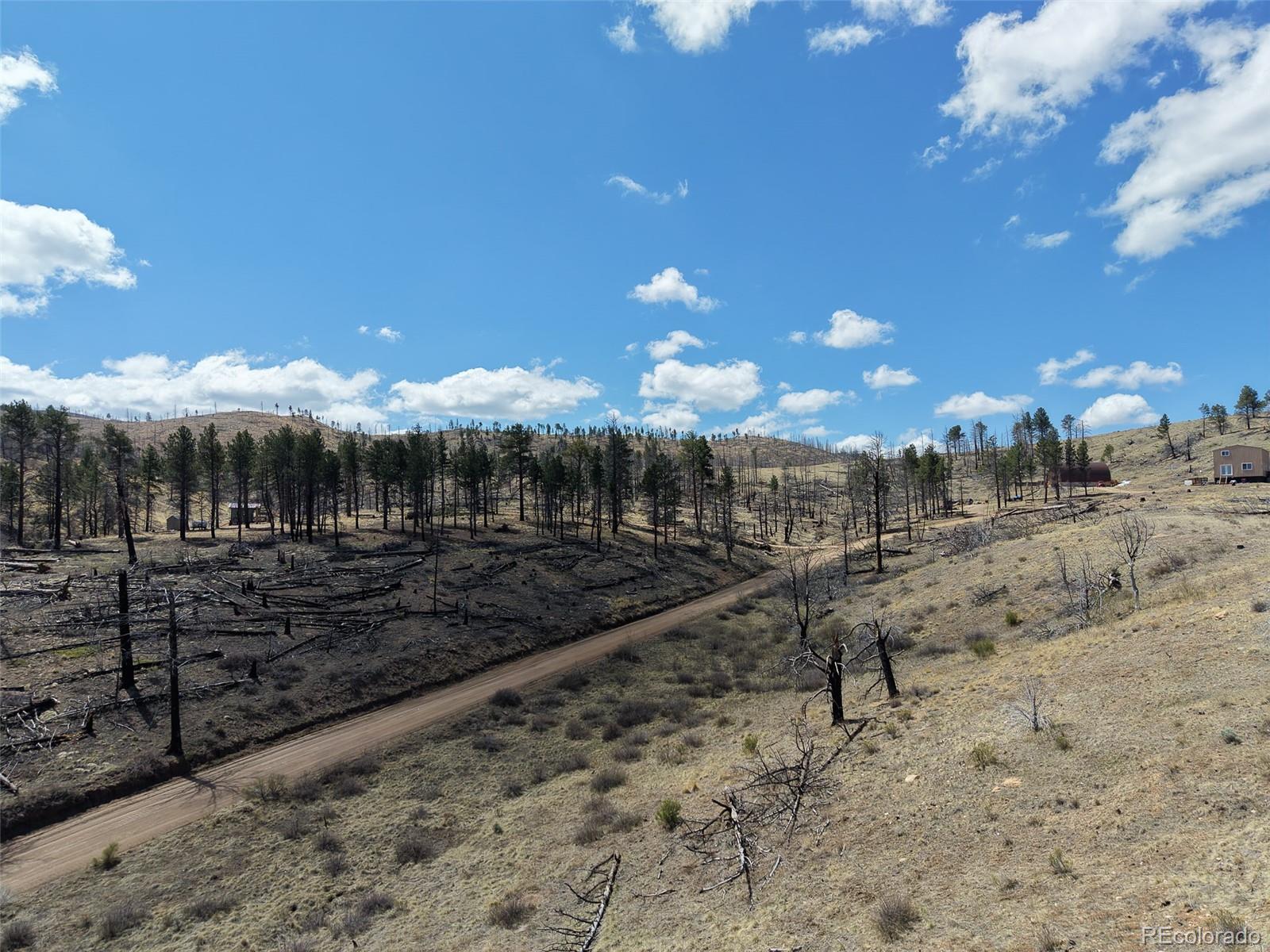 Lewis Smith Road Fort Garland CO 81133