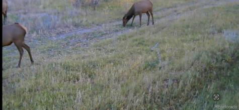 1862 River Island Drive South Fork CO 81154