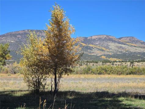 1862 River Island Drive South Fork CO 81154