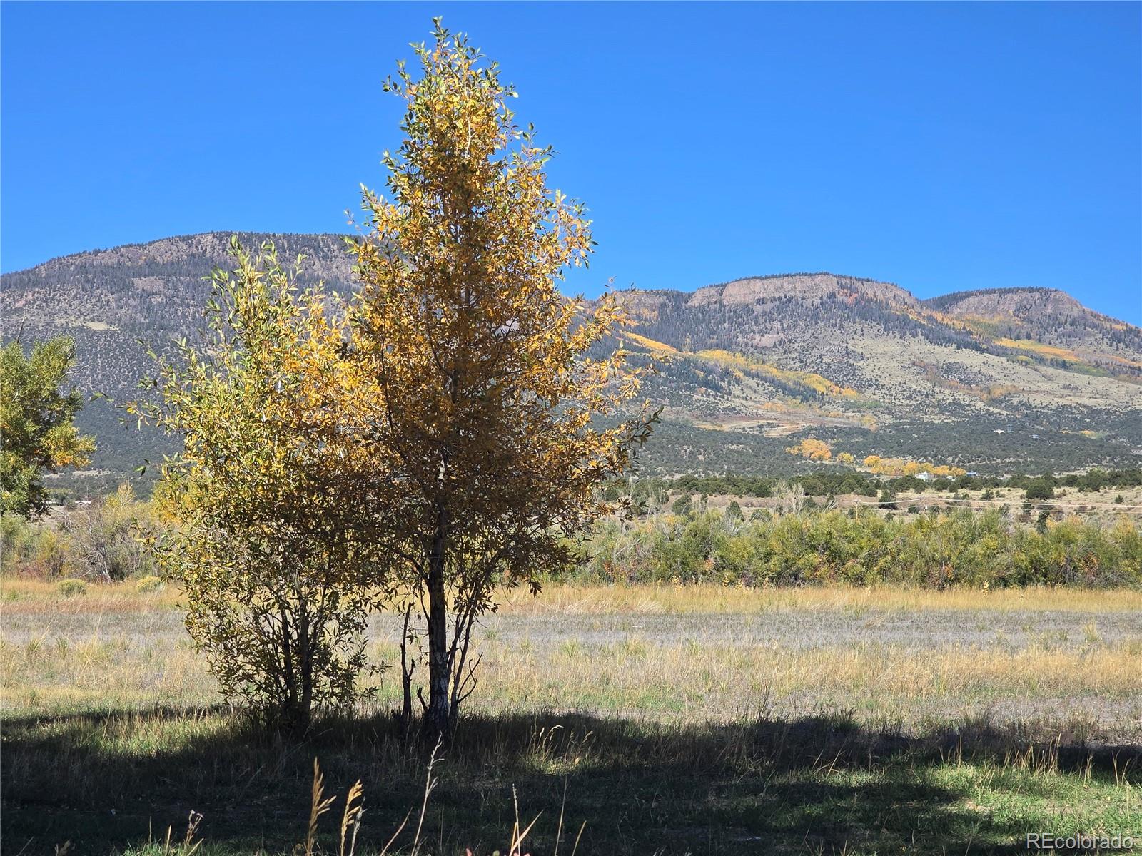 1862 River Island Drive South Fork CO 81154