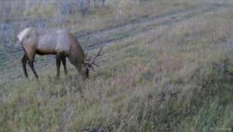1862 River Island Drive South Fork CO 81154