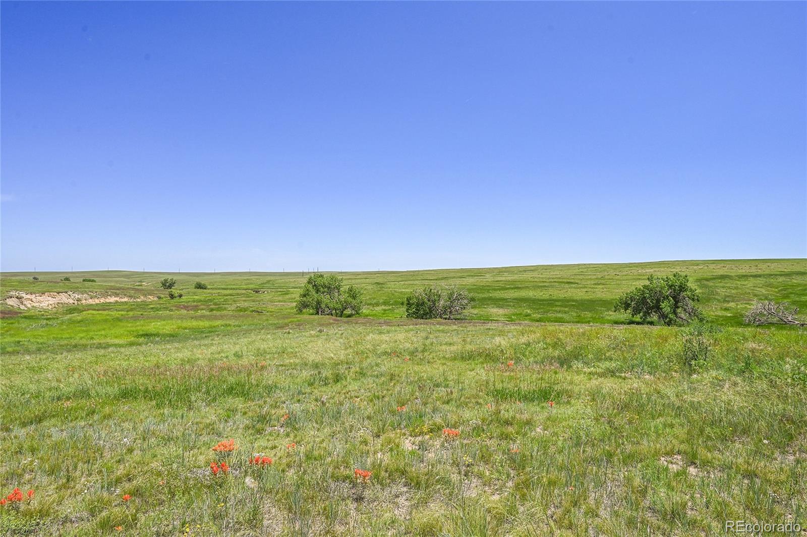 Last Dart Road Kiowa CO 80117