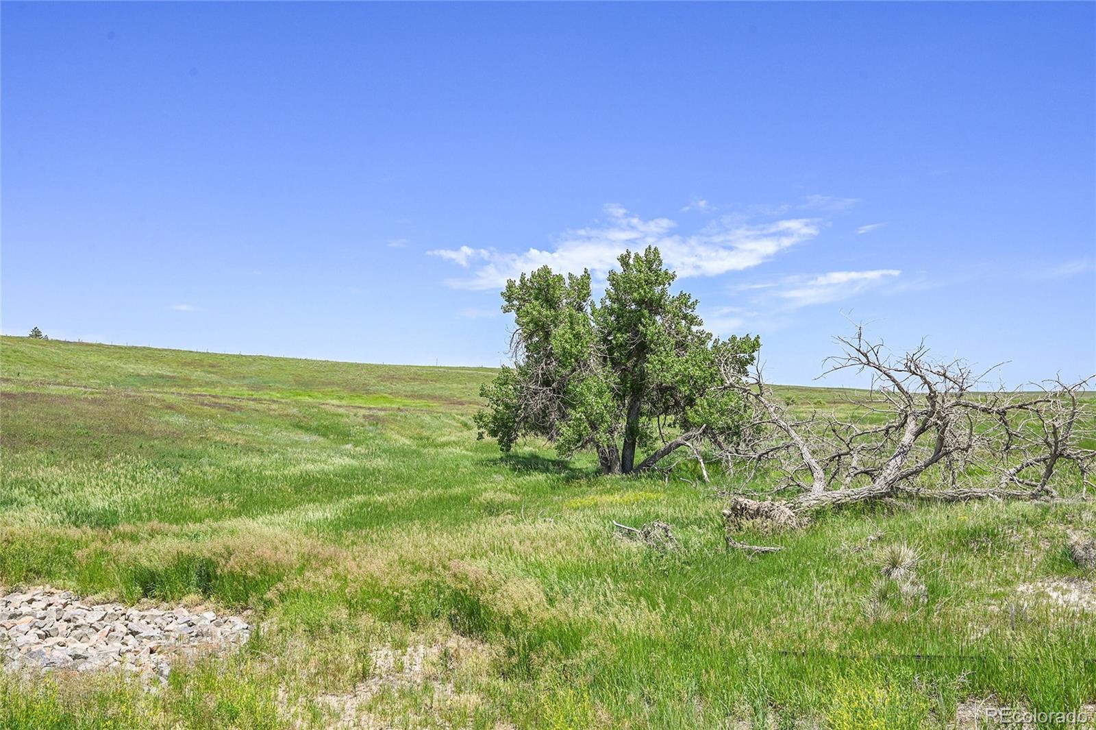 Last Dart Road Kiowa CO 80117