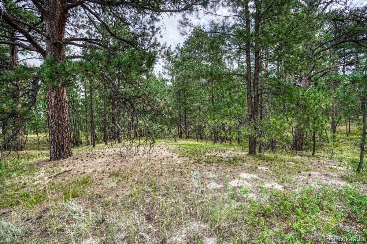 00 Club Drive Colorado Springs CO 80908